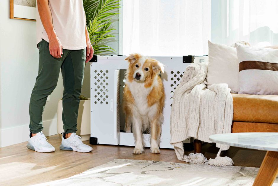 Glückliche tiere, glückliches leben 1 Glückliche tiere, glückliches leben