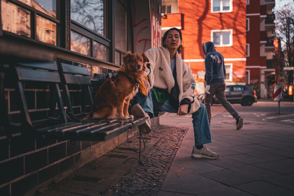 Glückliche tiere, glückliches leben 2 Tiere
